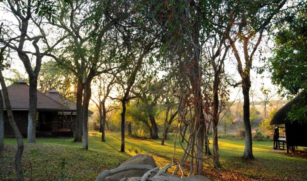 Idube Game Reserve Sabi Sand Vadrezervátum Kültér fotó