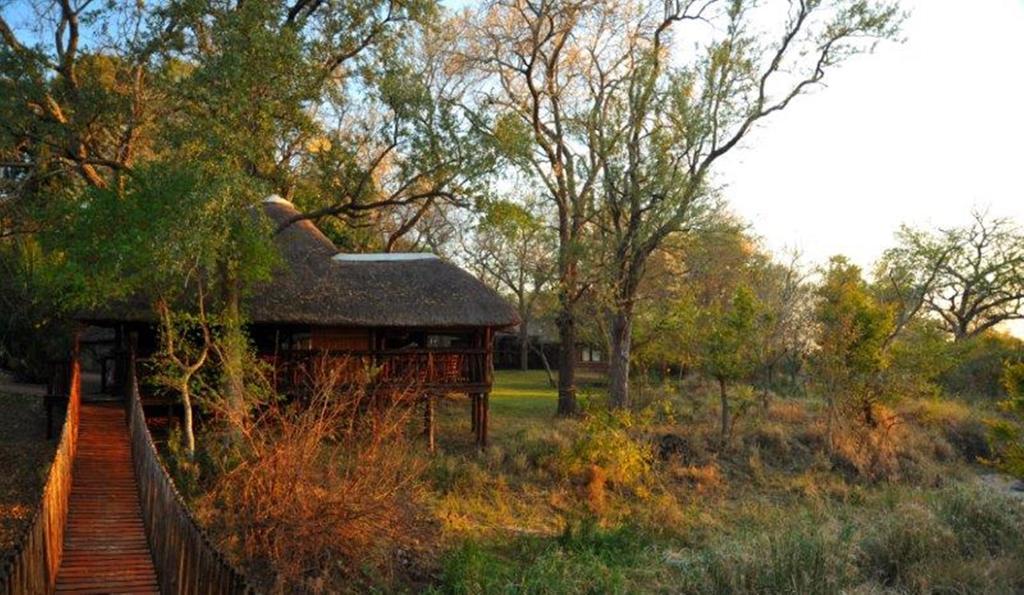 Idube Game Reserve Sabi Sand Vadrezervátum Szoba fotó